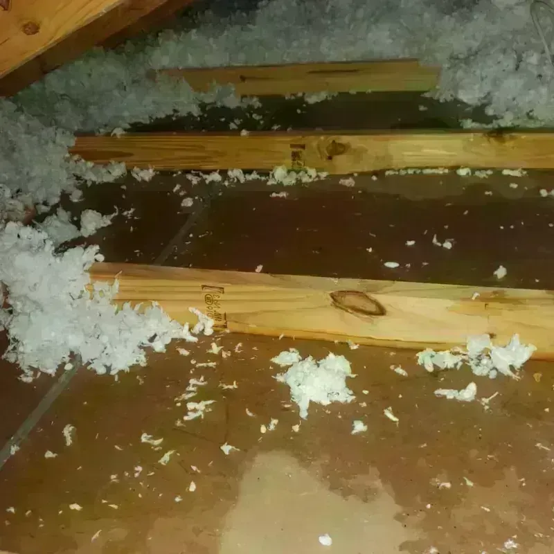 Attic Water Damage in Hewitt, TX