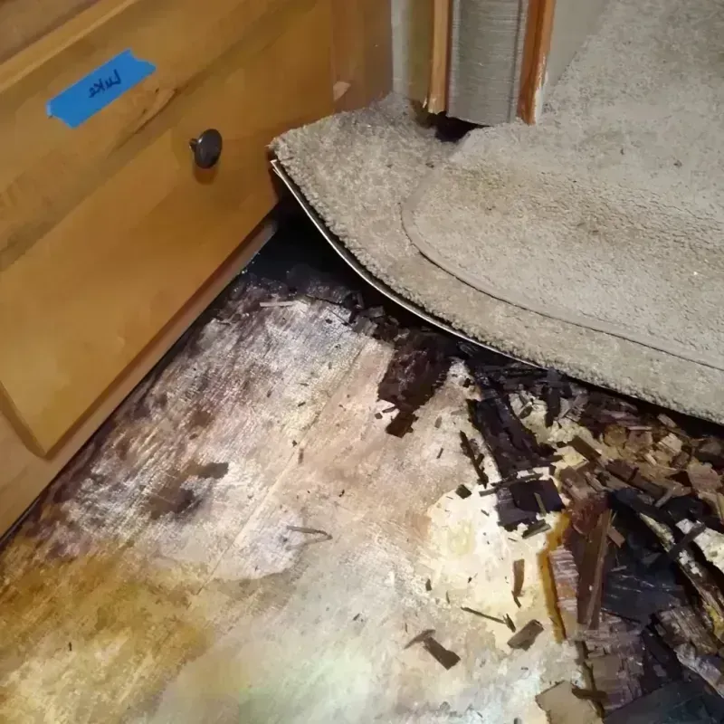 Best Wood Floor Water Damage Service in Hewitt, TX